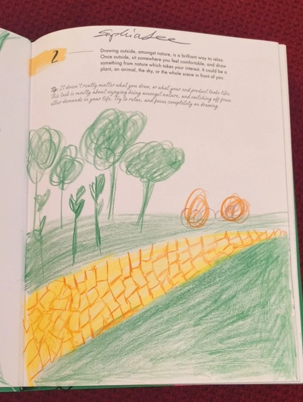 365 Days of Art in Nature — Lorna Scobie NWT